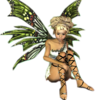 Fantasy Fairy Blonde Sitting Green Wings Image